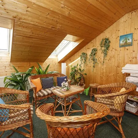 格拉斯维索基纳旅馆 4* Skrdlovice