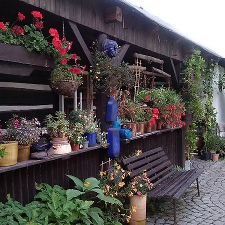 Guest house Glass Vysocina